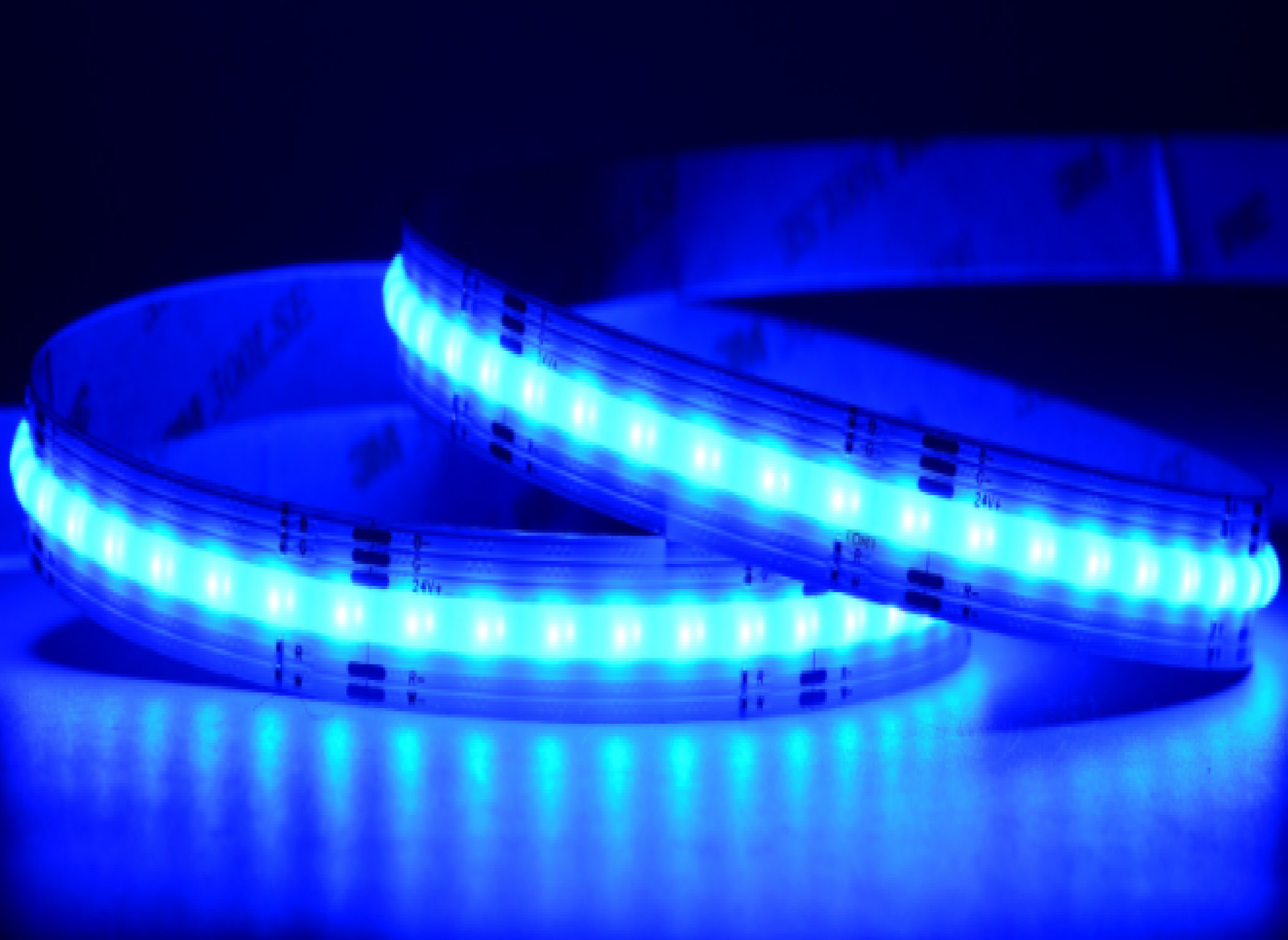 Ruban LED flexible COB-896-GBW-24V-12